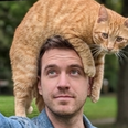 Derek, 37